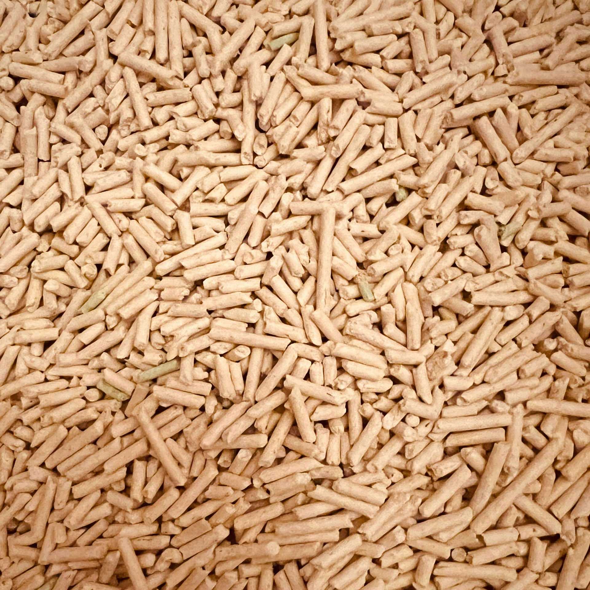 Rodzinna firma z tradycjami