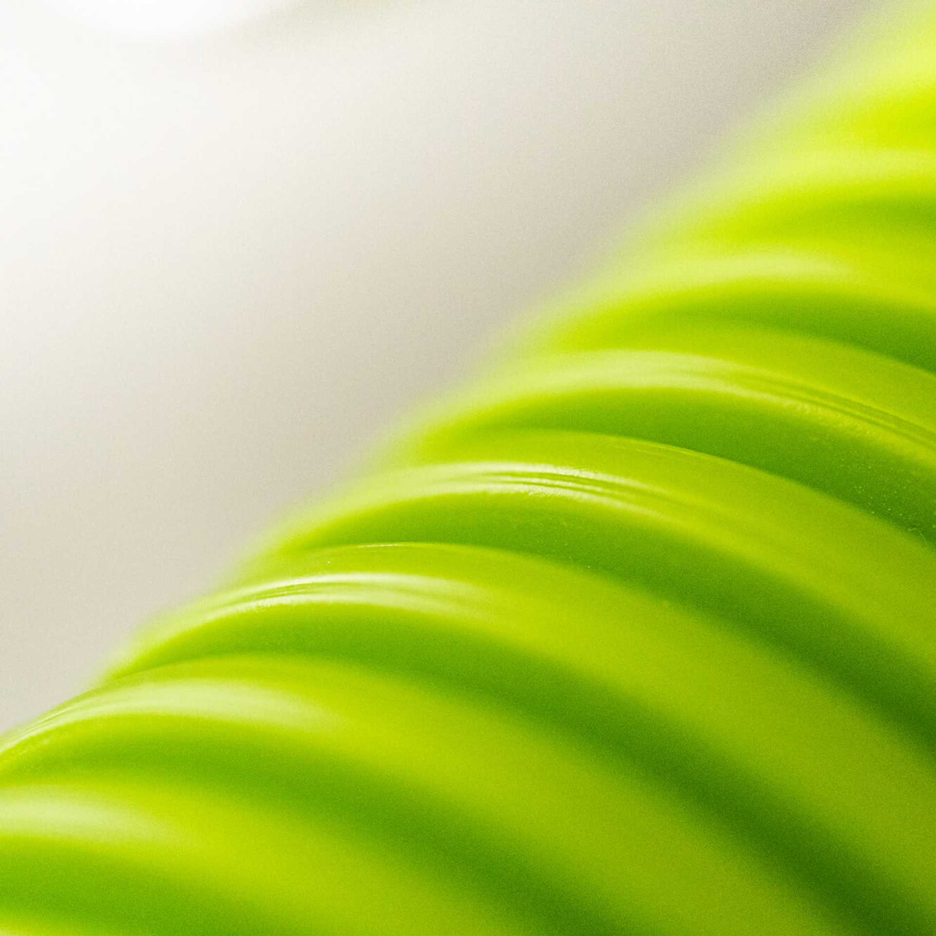 Rodzinna firma z tradycjami